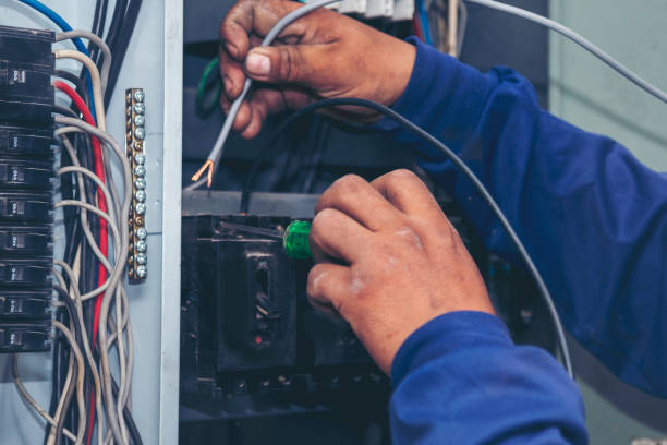 Best Local Electrician Companies  in Plain City, UT